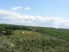DSCN1675.JPG