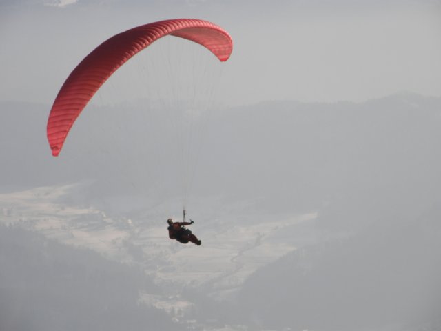 prvo letenje albatrosa v l 2009-malič