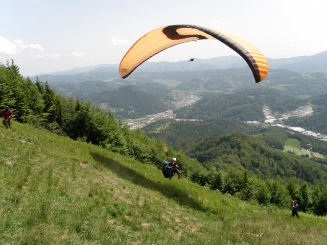 malič -maj 2009