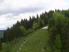 PIC_0005.JPG