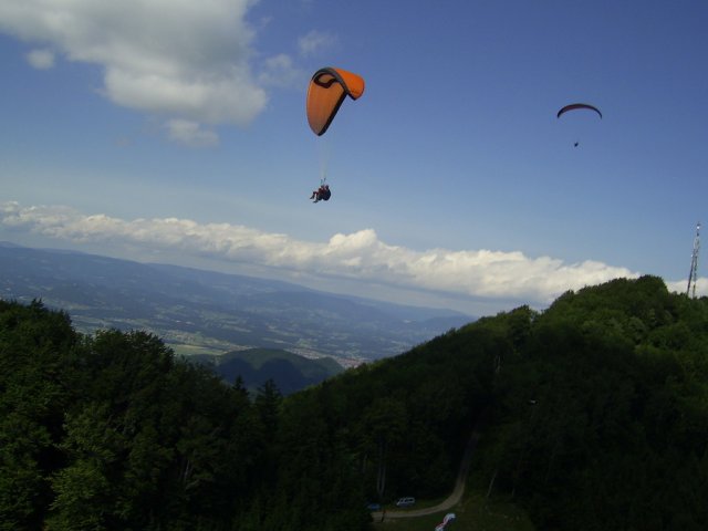 malič july 2008